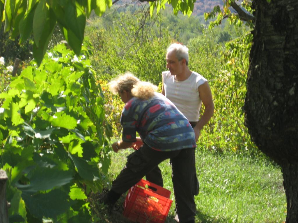 Giardino Di Potentino Seggiano Eksteriør billede