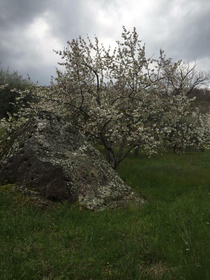 Giardino Di Potentino Seggiano Eksteriør billede