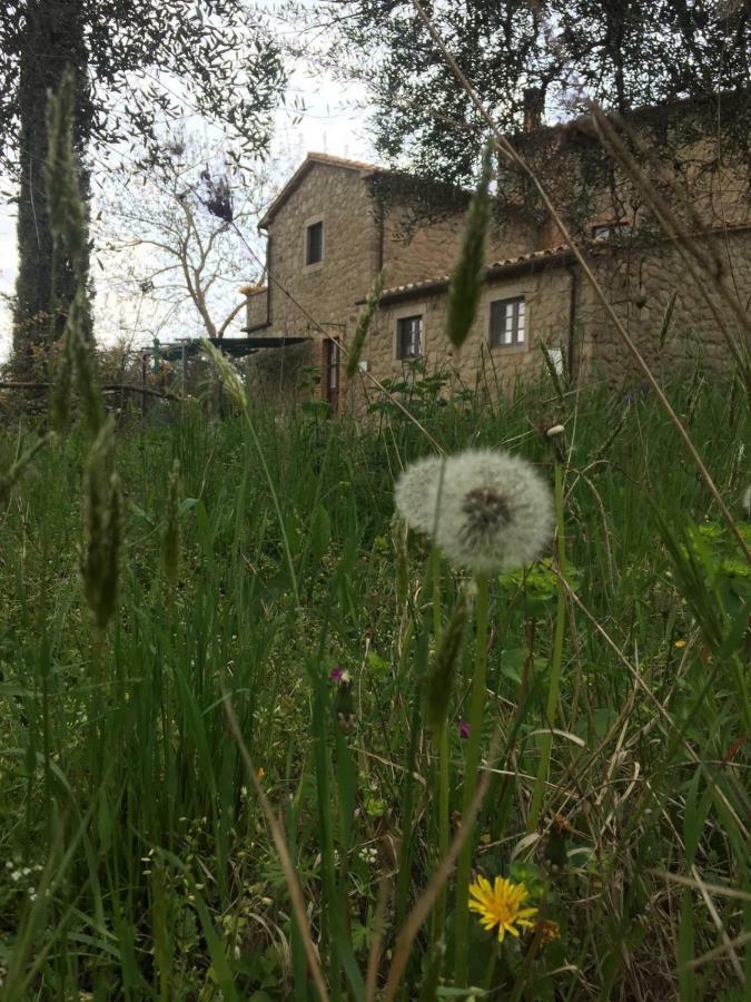 Giardino Di Potentino Seggiano Eksteriør billede